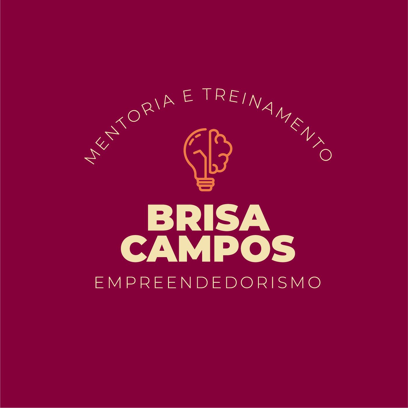 Logo Brisa